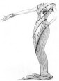 /album/photo-gallery-homepage/large-jpg/